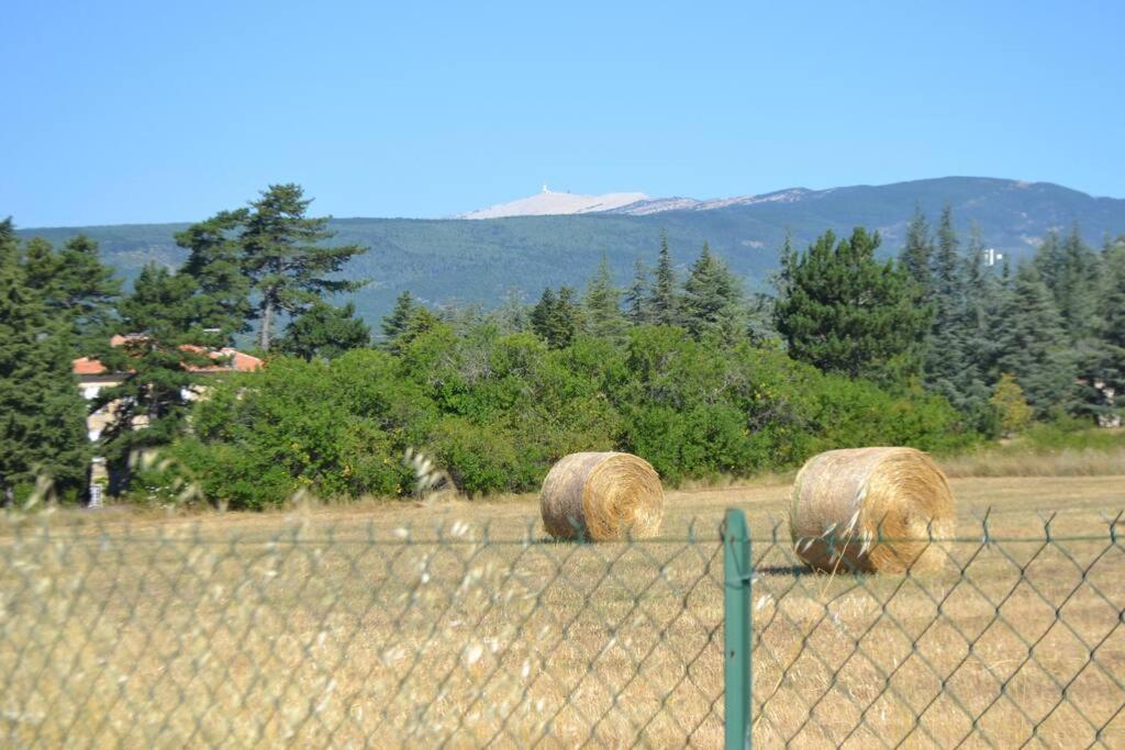 Les Fadas Du Ventoux Sault-de-Vaucluse Exterior photo